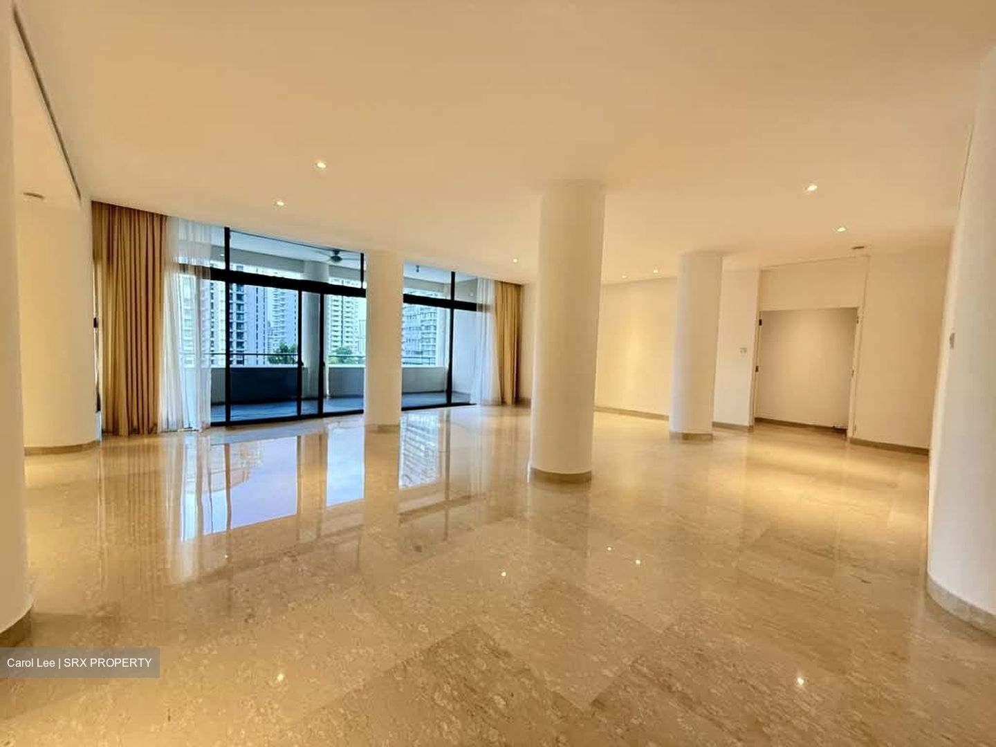 The Colonnade (D10), Condominium #566277341